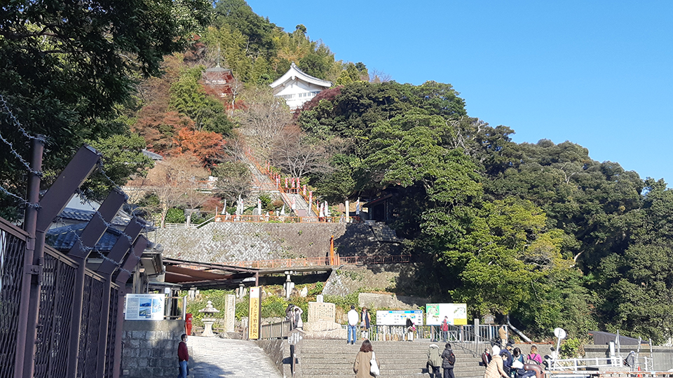 小浜