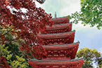 高知県高知市